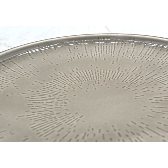 Schönwald Germany 620 Porcelain Plate Set of 4 Radial Pattern Gray Frost Shiro - Picture 11 of 16